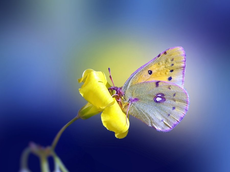 �Ϸʶ��ջI��