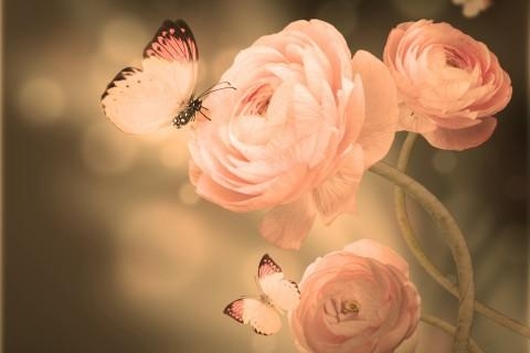 �Ϸʶ��ջI��