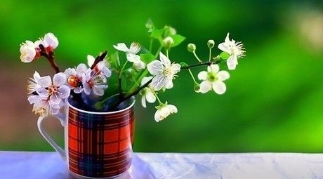 �Ϸʶ���(w��)�I��