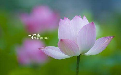 �Ϸʶ���(w��)�I��