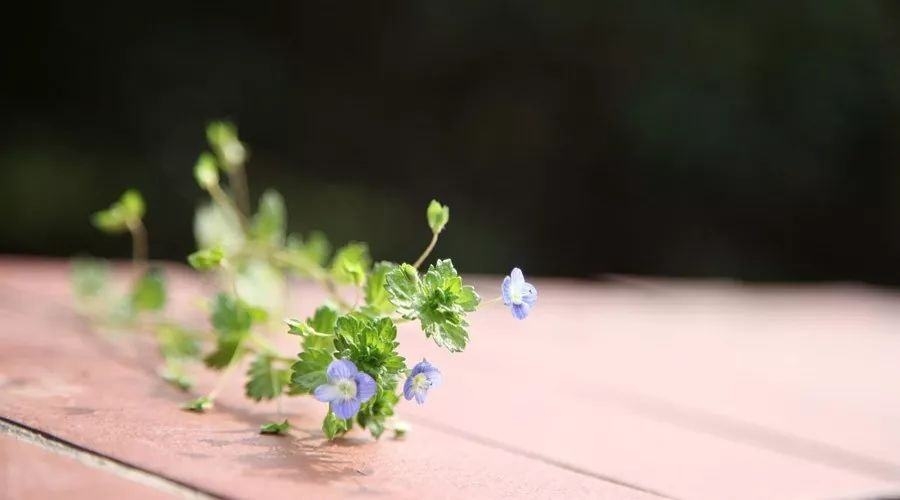 �Ϸʶ��ջI��